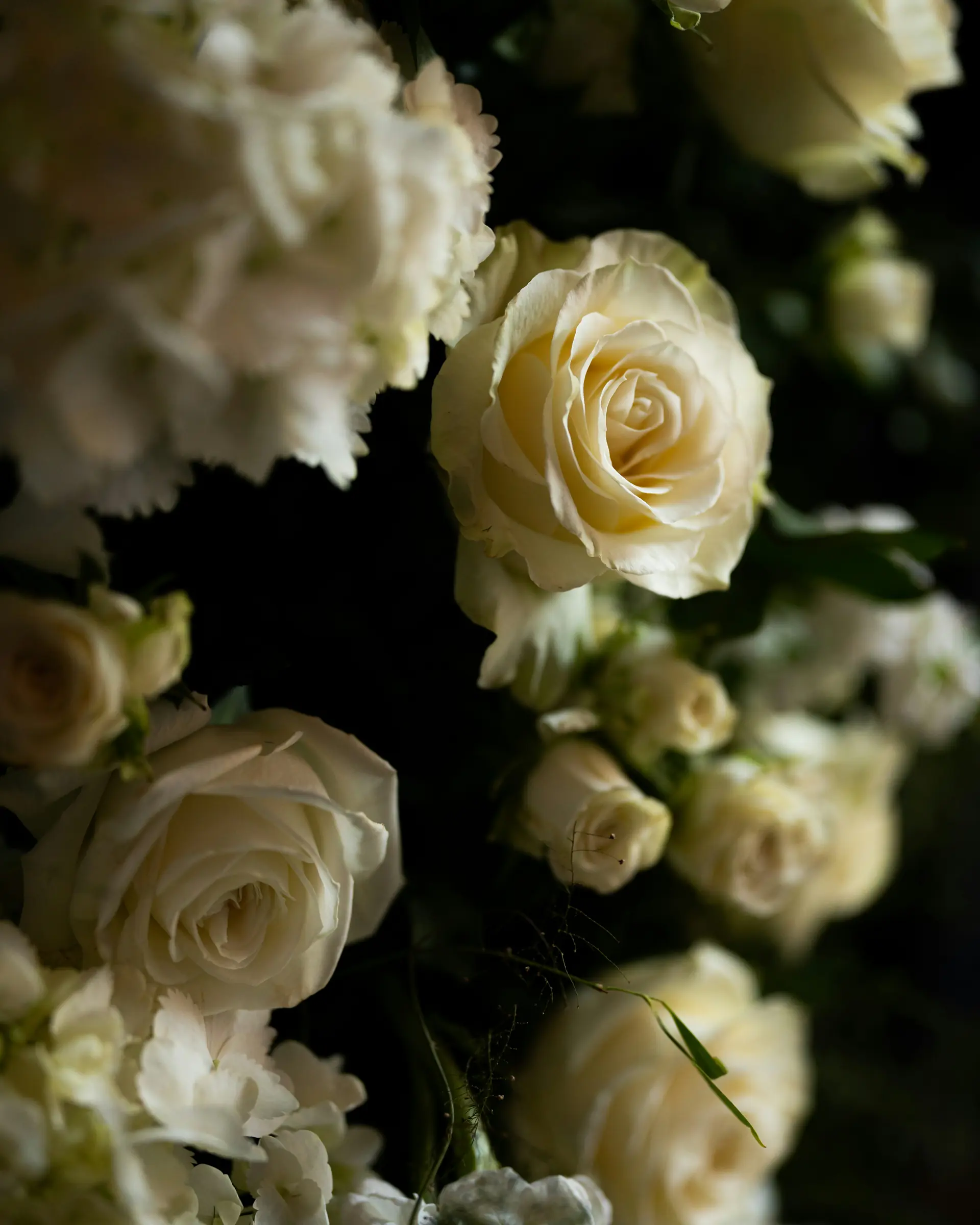 Sympathy Bouquets